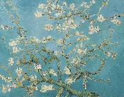 Vincent Van Gogh Almond Blossoms Spain oil painting artist